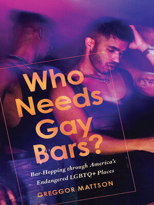 cover image of Who Needs Gay Bars?